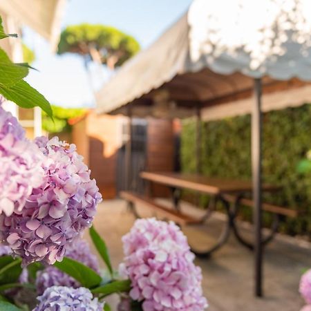 Apartment Holiday Versilia Camaiore Exteriér fotografie