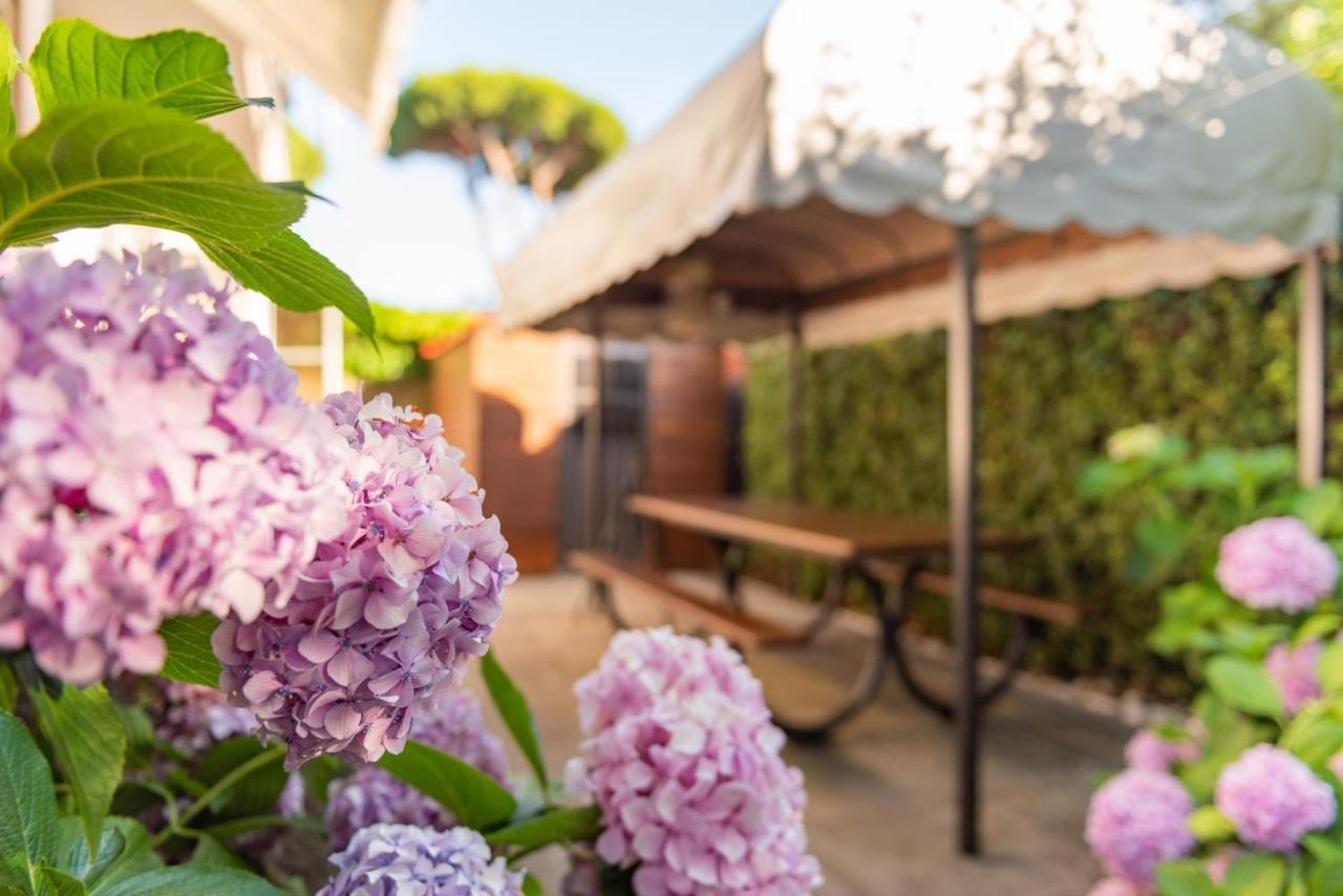 Apartment Holiday Versilia Camaiore Exteriér fotografie